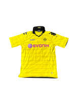 Borussia Dortmund 2009/10 (M) - Mohamed Zidan 10