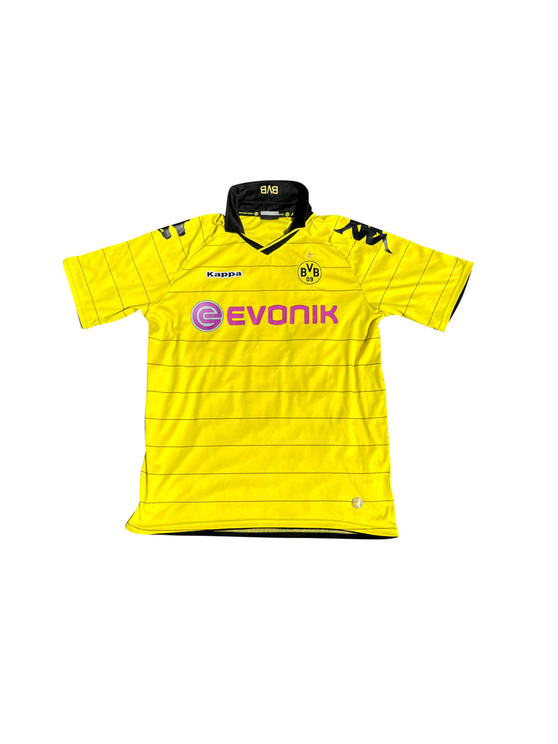 Borussia Dortmund 2009/10 (M) - Mohamed Zidan 10